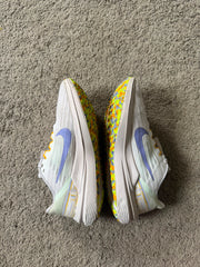 Nike Air Winflo 9 Premium