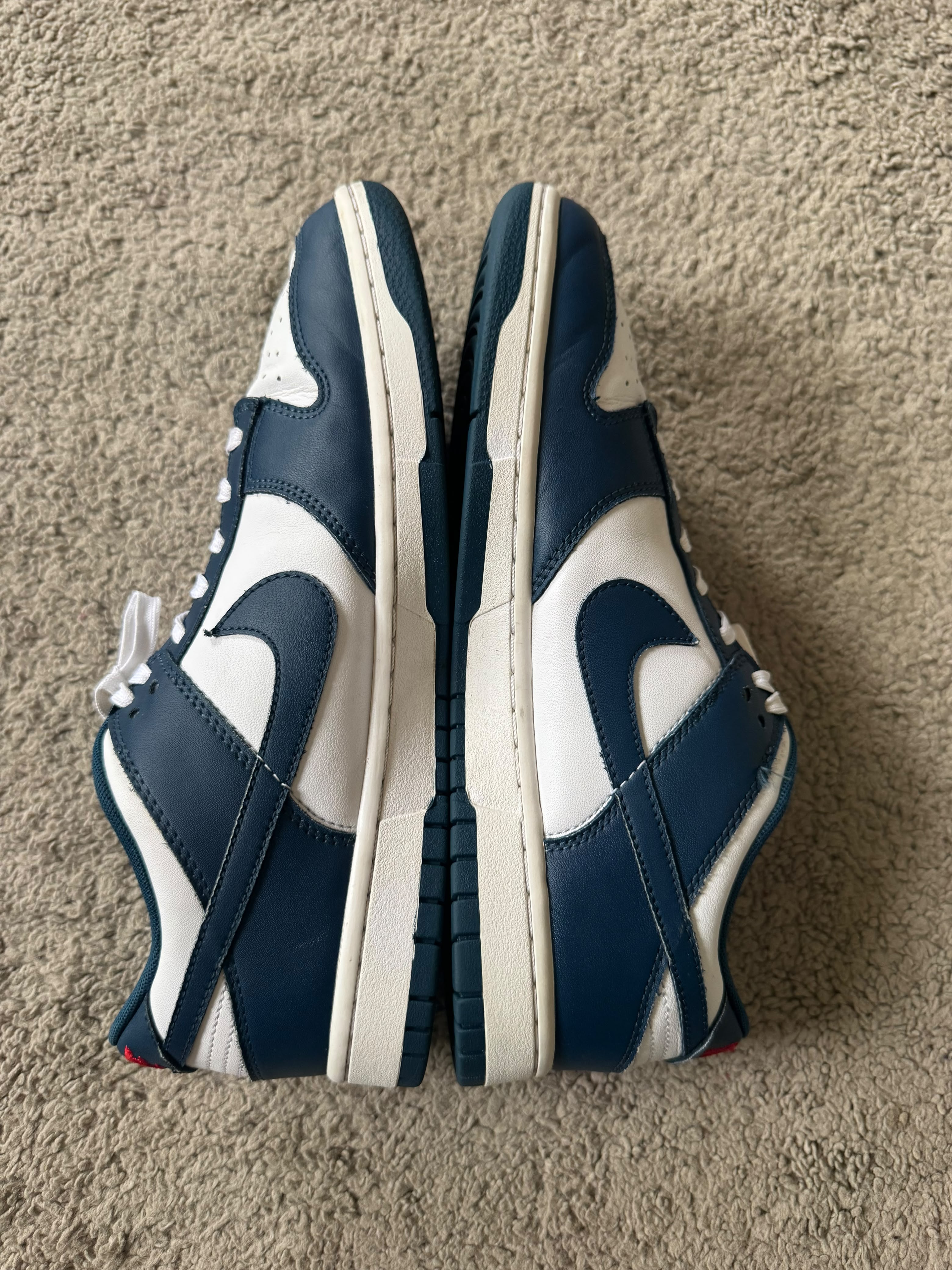 Nike Dunk