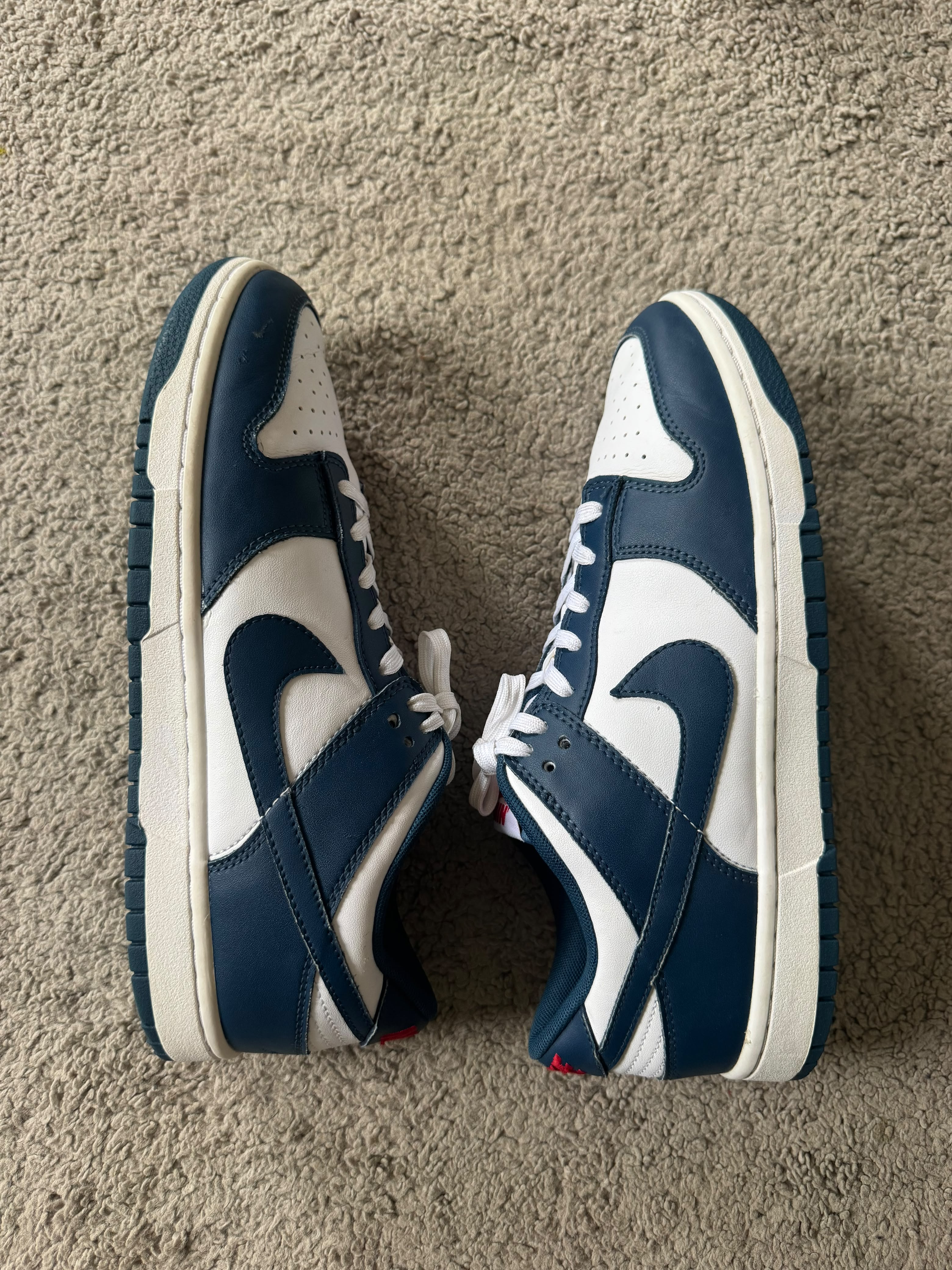 Nike Dunk