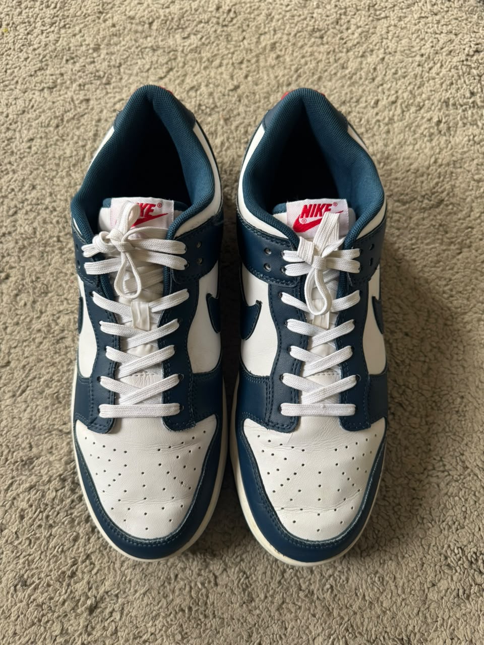 Nike Dunk